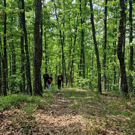 Vikendica Na Rancu Lisa *