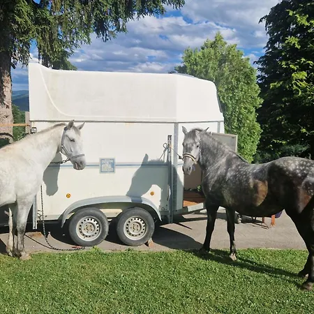 Vikendica Na Rancu Lisa Ferienhaus