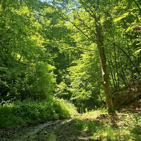 Vikendica Na Rancu Lisa Ferienhaus *